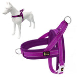 PLUTUS PET dog harness shown from the front.