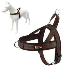 PLUTUS PET dog harness shown from the front with its step-in design.