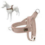 PLUTUS PET dog harness shown from the front with its step-in shape and padded straps.