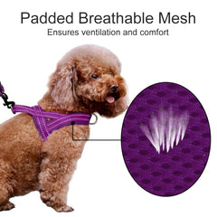 PLUTUS PET dog harness detail showing the front and back leash rings.