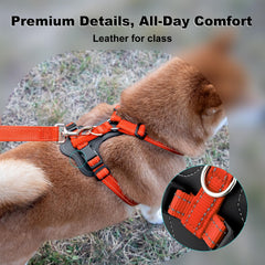 PLUTUS PET dog harness close-up showing the leather-trimmed panel.