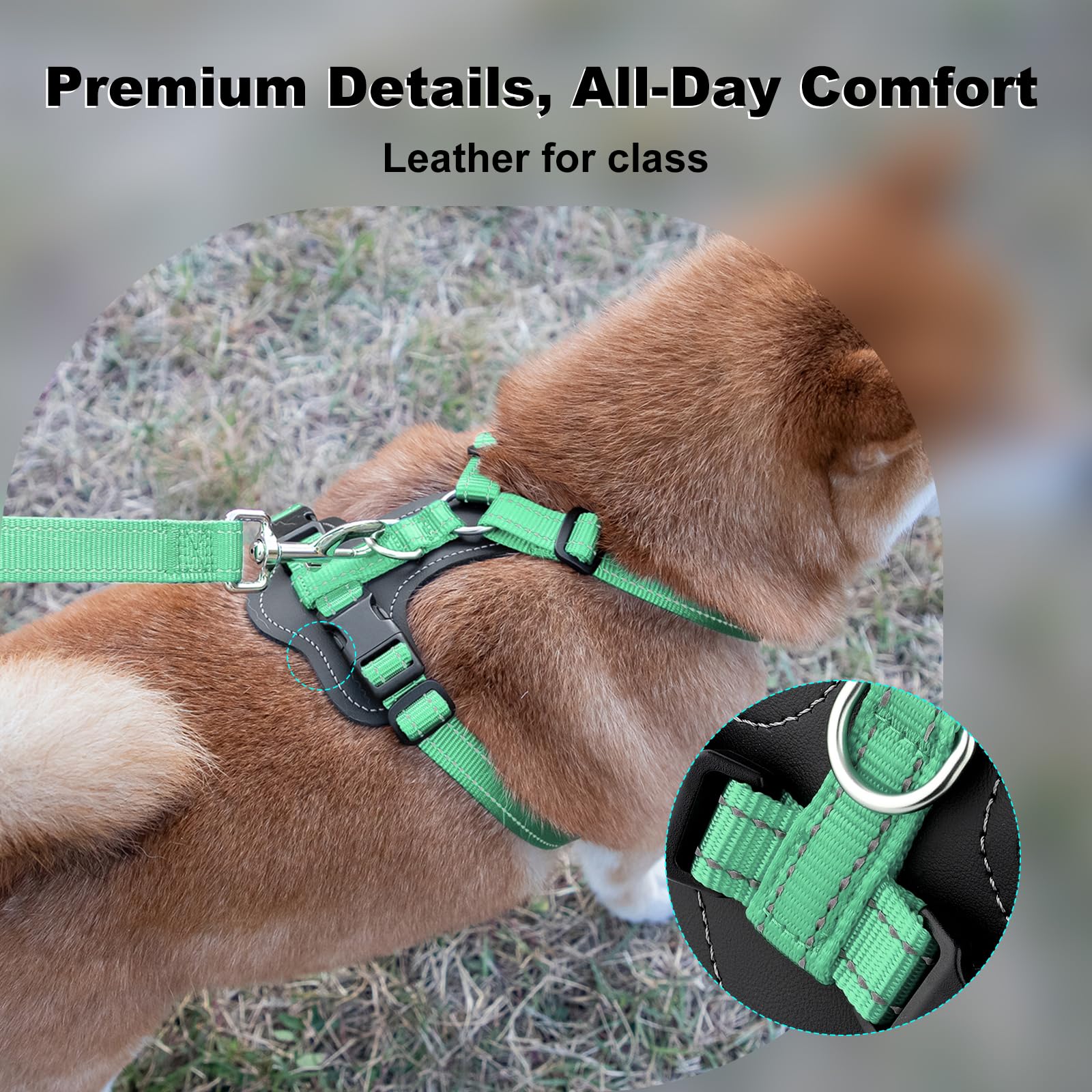 PLUTUS PET dog harness shown from a rear angle.