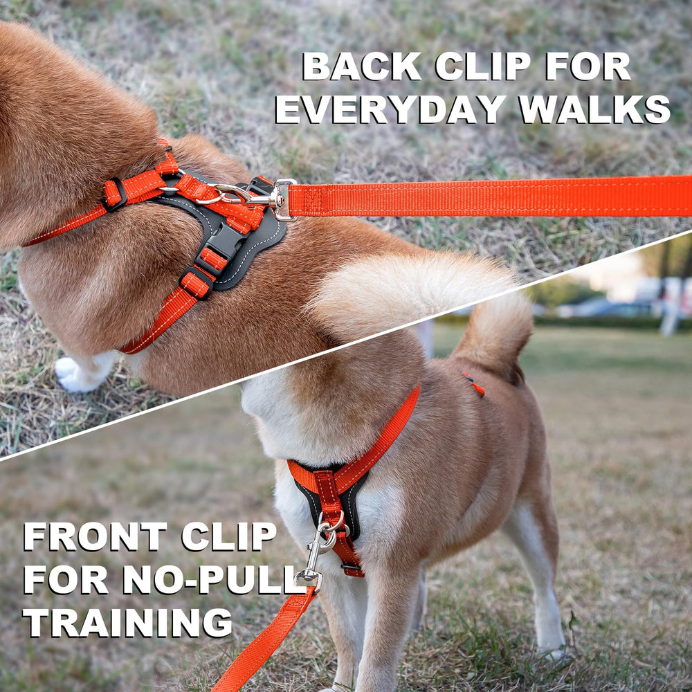 PLUTUS PET dog harness detail showing reflective stitching for low-light visibility.