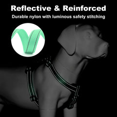 PLUTUS PET dog harness close-up showing reflective stitching.