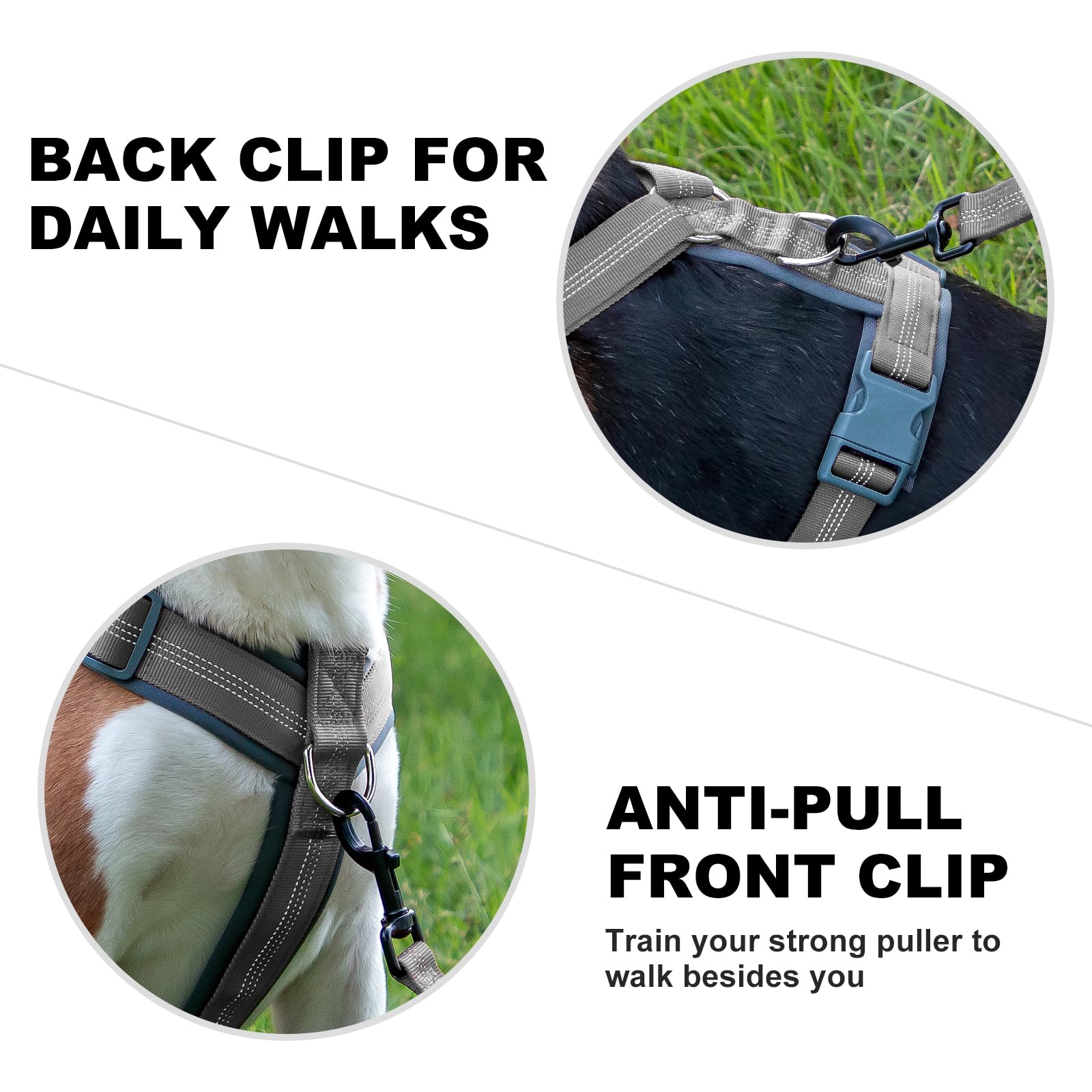 PLUTUS PET dog harness detail showing the reflective strips.