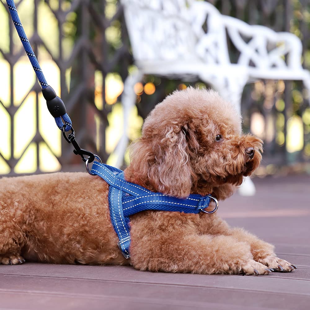 PLUTUS PET dog harness detail showing reflective thread.