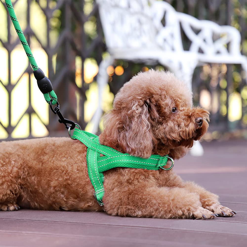 PLUTUS PET dog harness close-up showing its reflective thread.