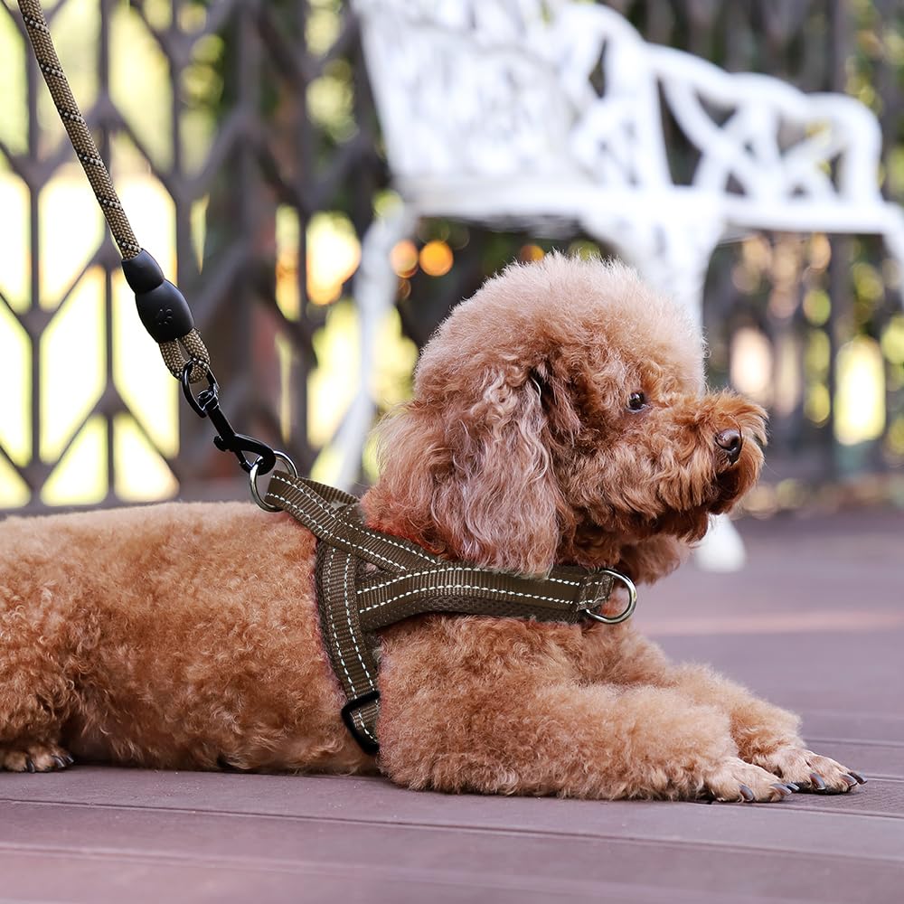 PLUTUS PET dog harness detail showing reflective thread for nighttime visibility.