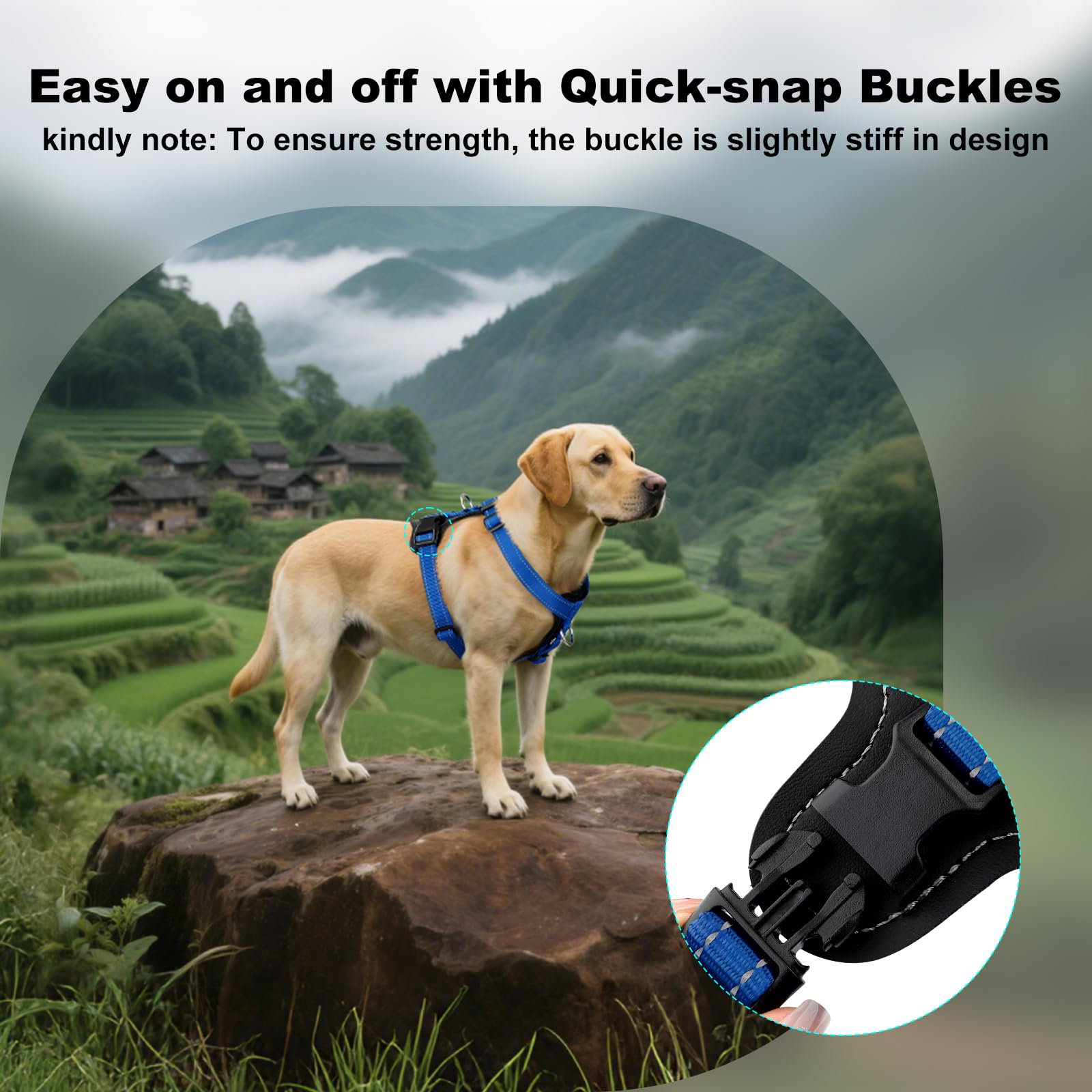 PLUTUS PET dog harness quick-snap buckles shown in detail.