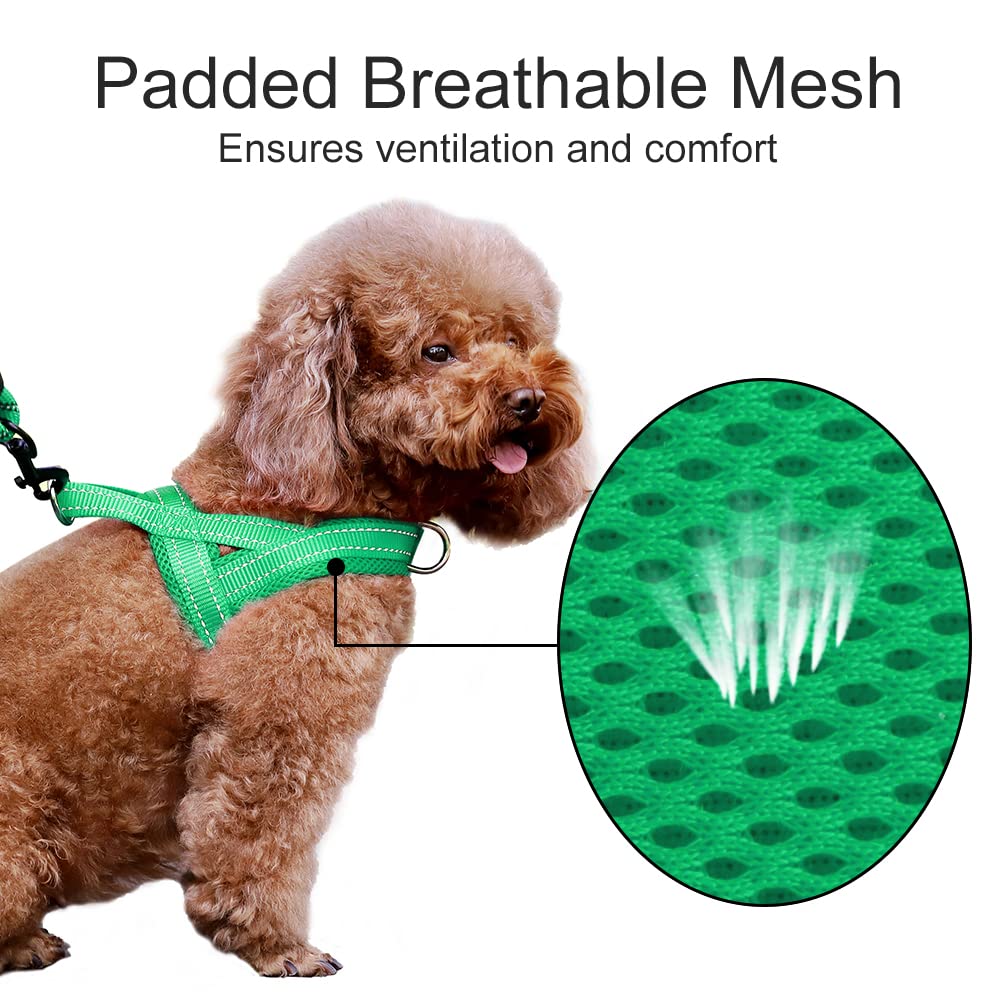 PLUTUS PET dog harness showing its step-in design and single buckle.