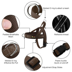PLUTUS PET dog harness buckle detail showing the single adjustment buckle.