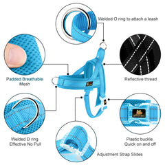 PLUTUS PET dog harness showing its step-in design.