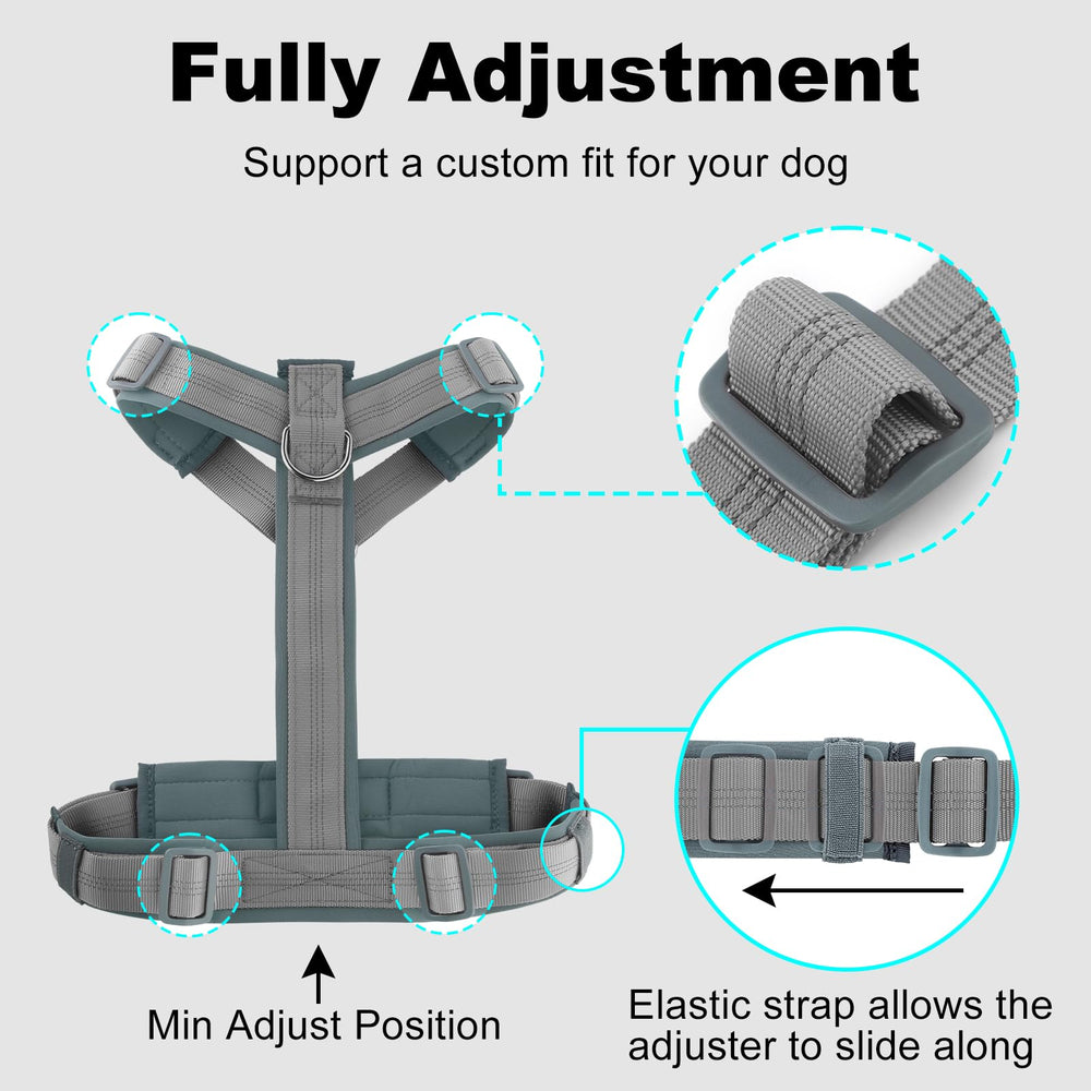 PLUTUS PET dog harness shown in use during a walk.