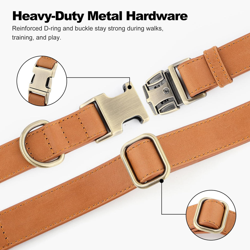 PLUTUS PET leather dog collar shown to highlight its adjustable fit.