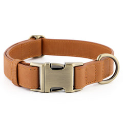 PLUTUS PET leather dog collar shown from the front.