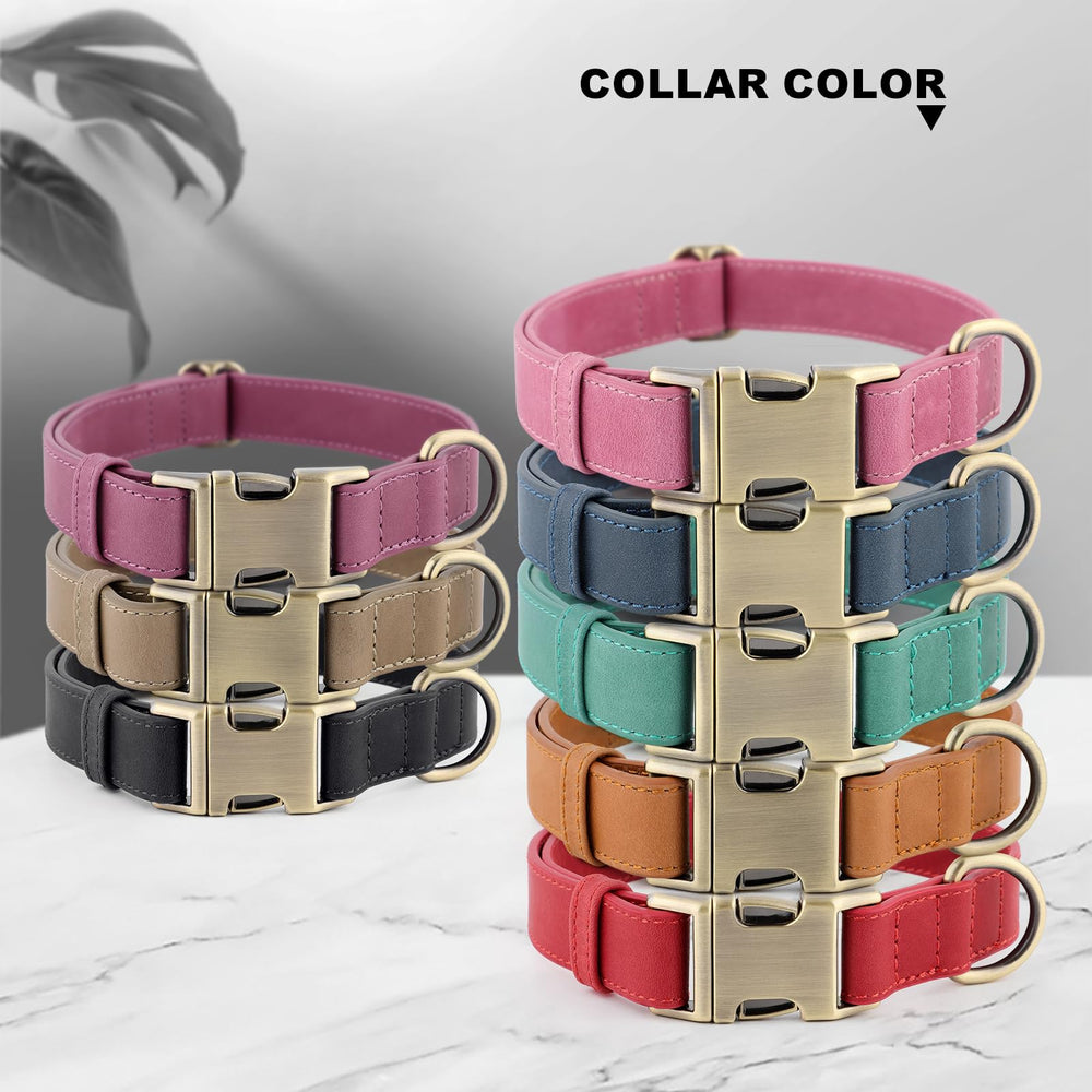 PLUTUS PET leather dog collar worn by a dog relaxing at home.