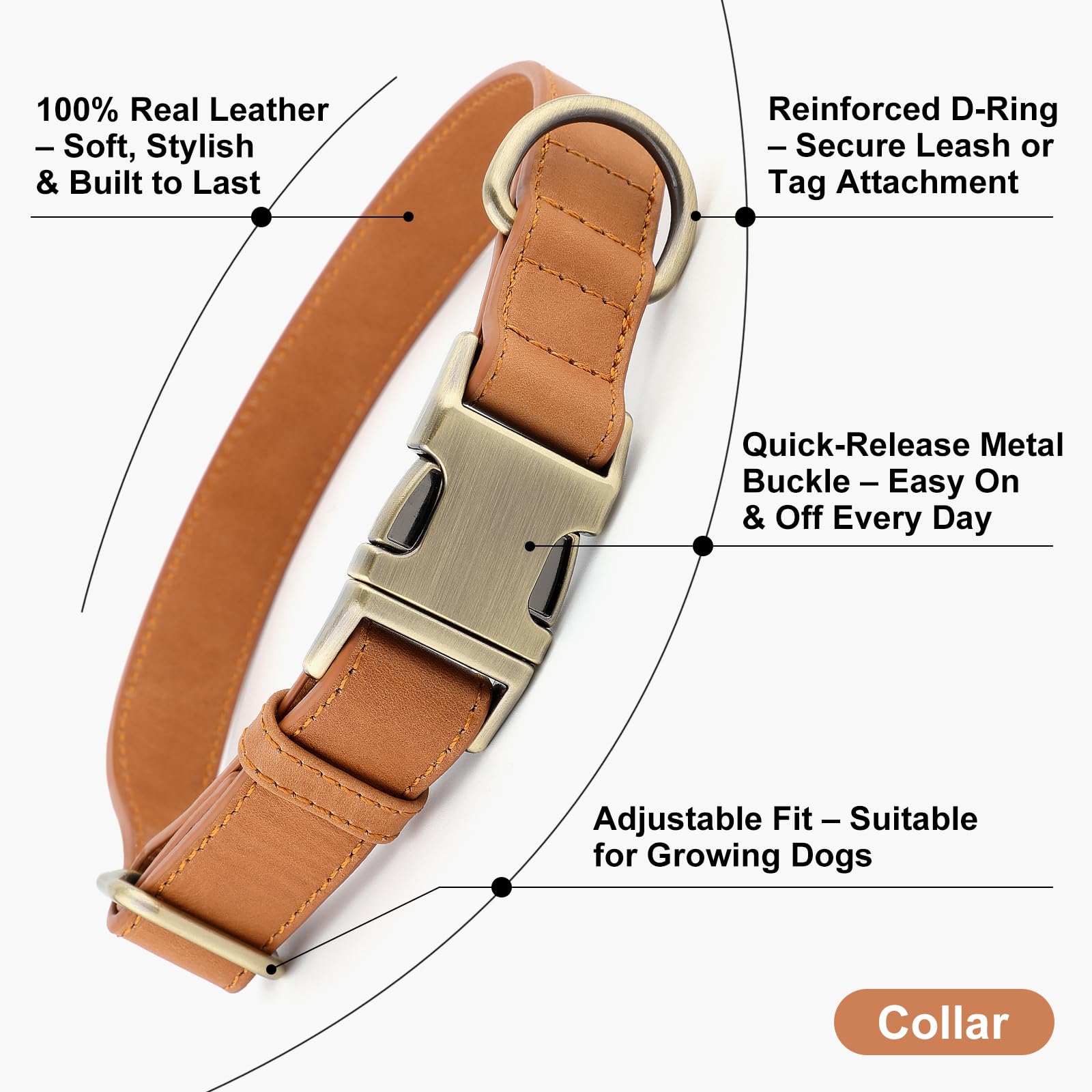 PLUTUS PET leather dog collar with its leather surface in close view.
