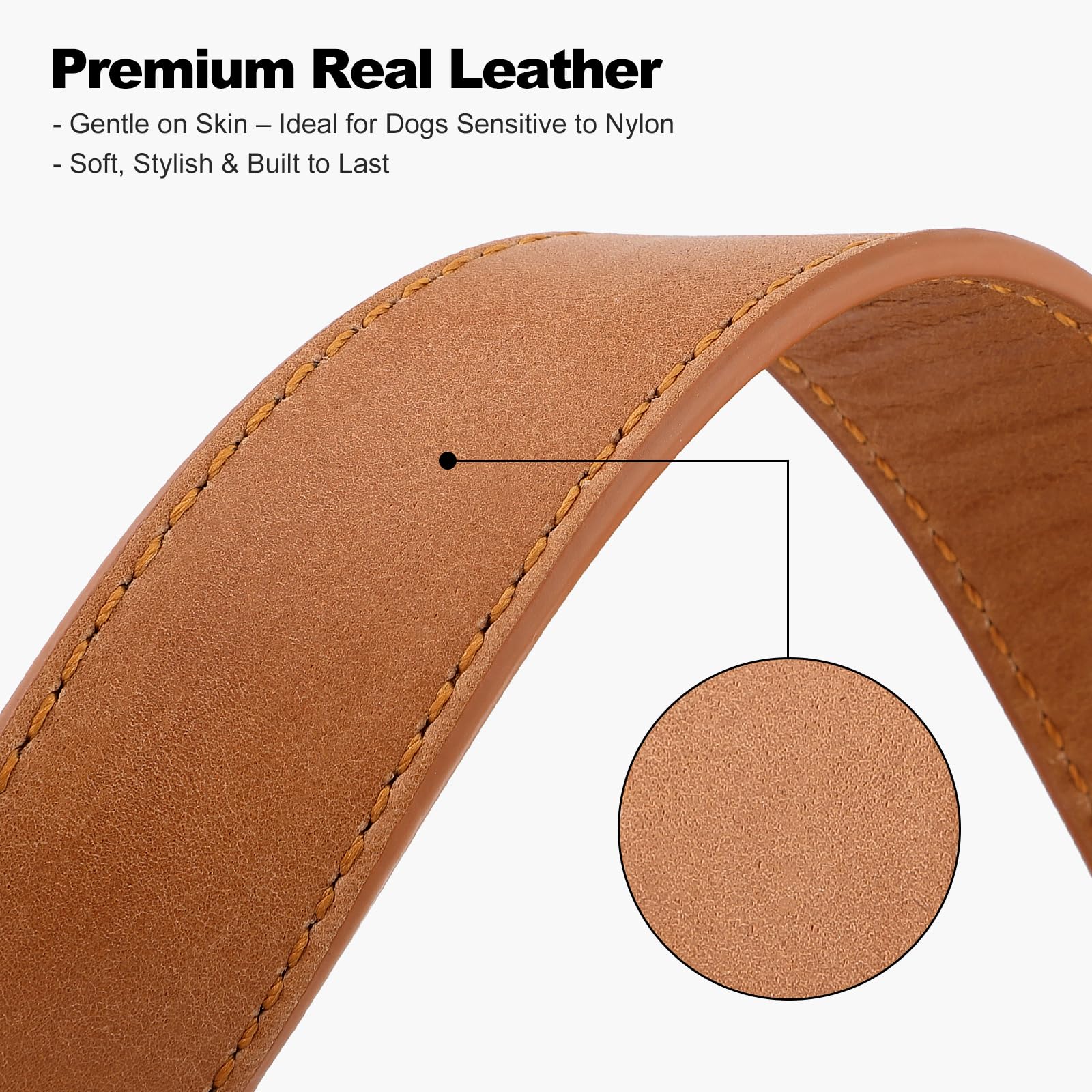 PLUTUS PET leather dog collar with the metal leash D-ring in view.