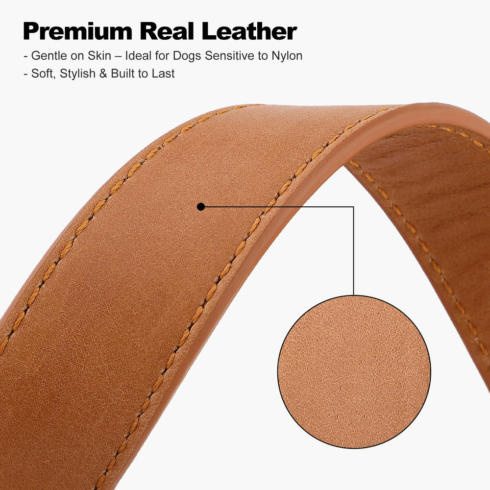 PLUTUS PET leather dog collar with the metal leash D-ring in view.