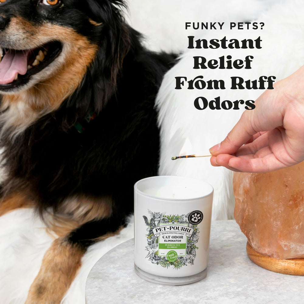 Poo-Pourri cat deodorizer candle label shown in close-up.