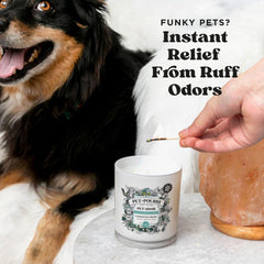 Poo-Pourri Pet-Pourri Pawsitively Fresh pet odor candle in its glass vessel.