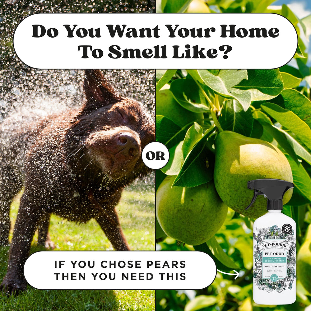 Poo-Pourri Pet-Pourri Pawsitively Fresh pet odor candle shown for a pet-owning home.