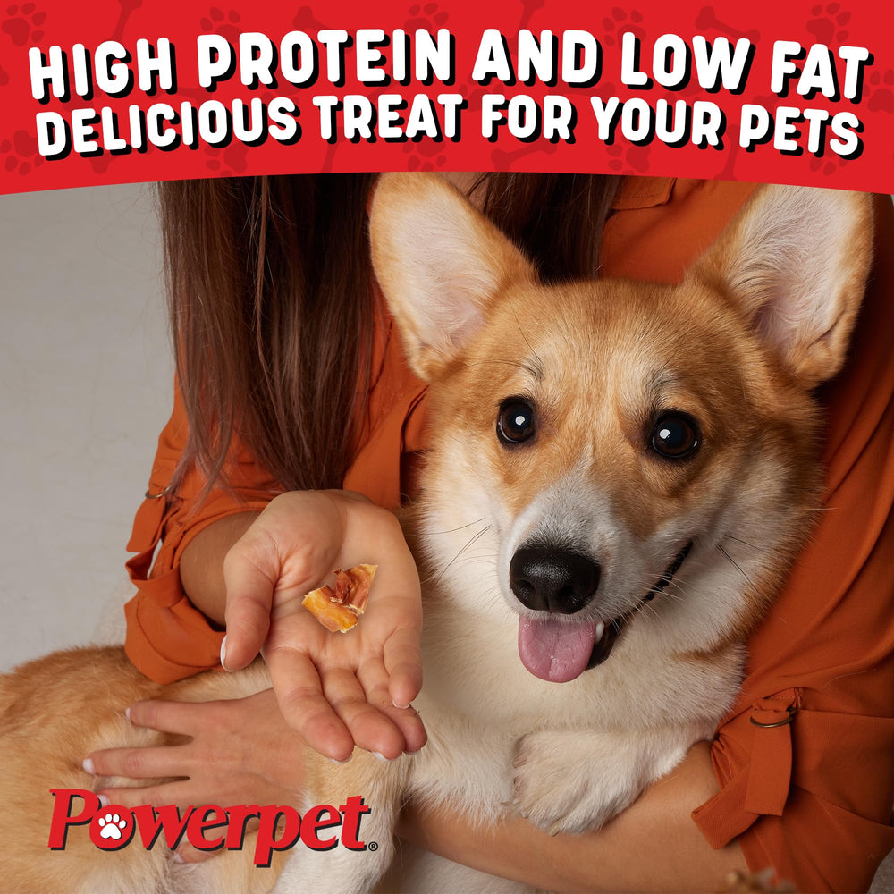 A dog chewing Powerpet Bully Stick Bites.