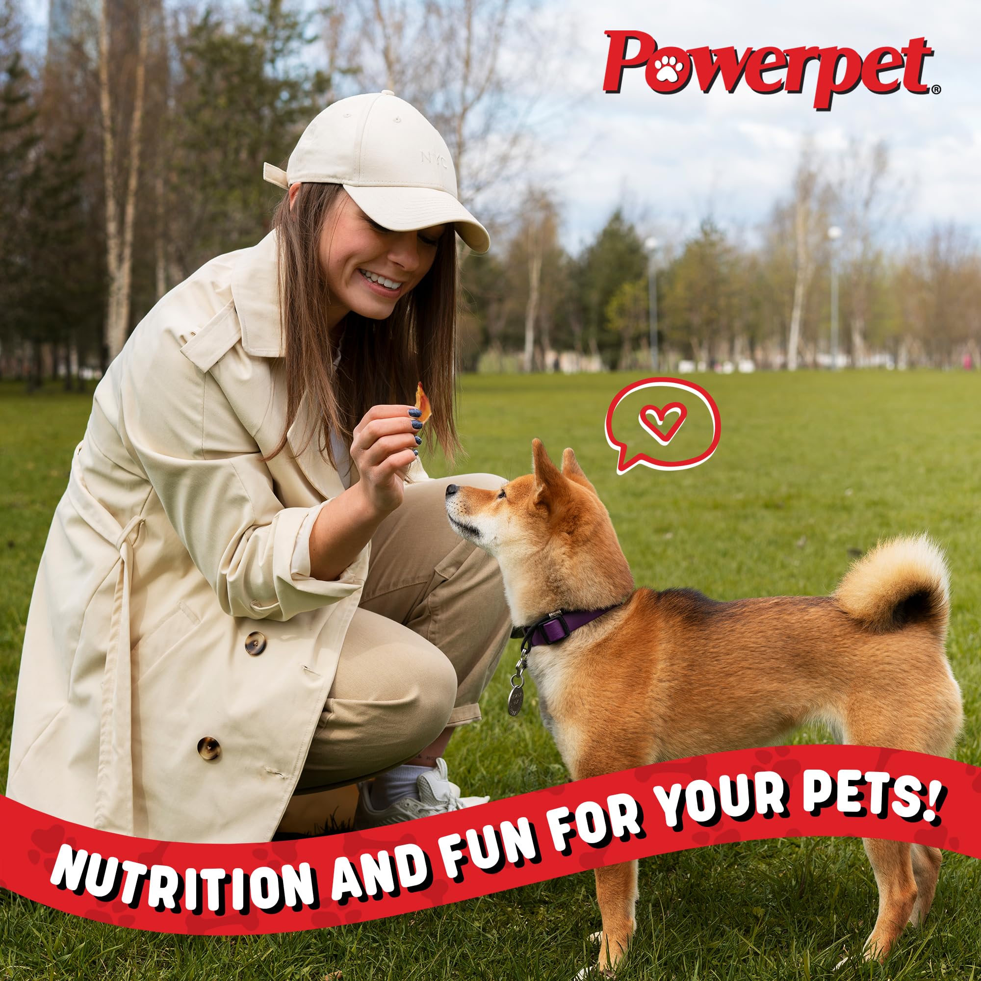 Powerpet Bully Stick Bites shown with the package from an angled view.