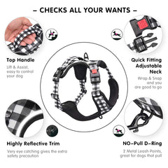 PoyPet dog harness back handle and rear leash clip shown.