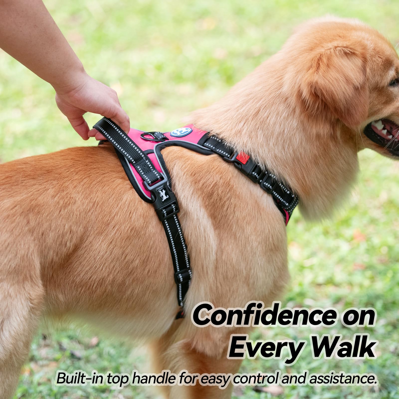 PoyPet dog harness belly strap buckles shown close-up.
