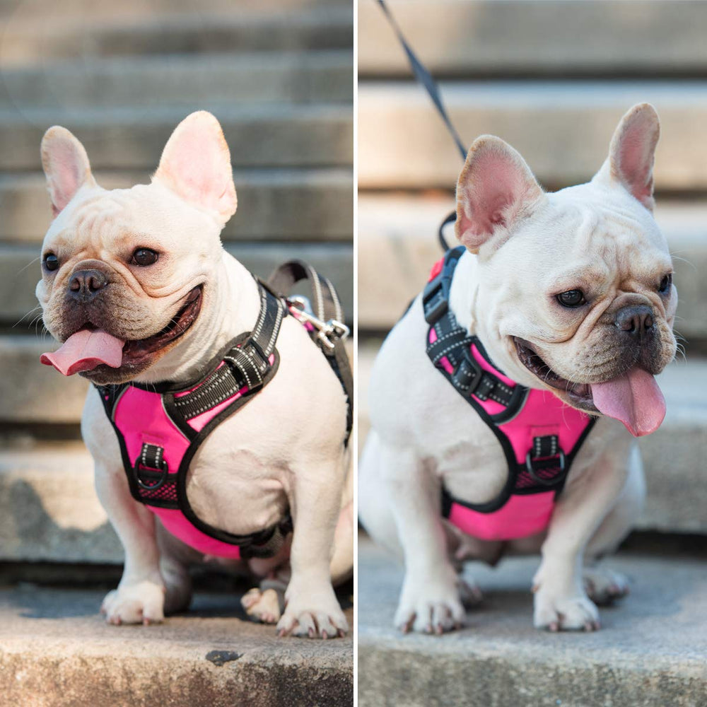 PoyPet dog harness elastic belly straps shown close-up.