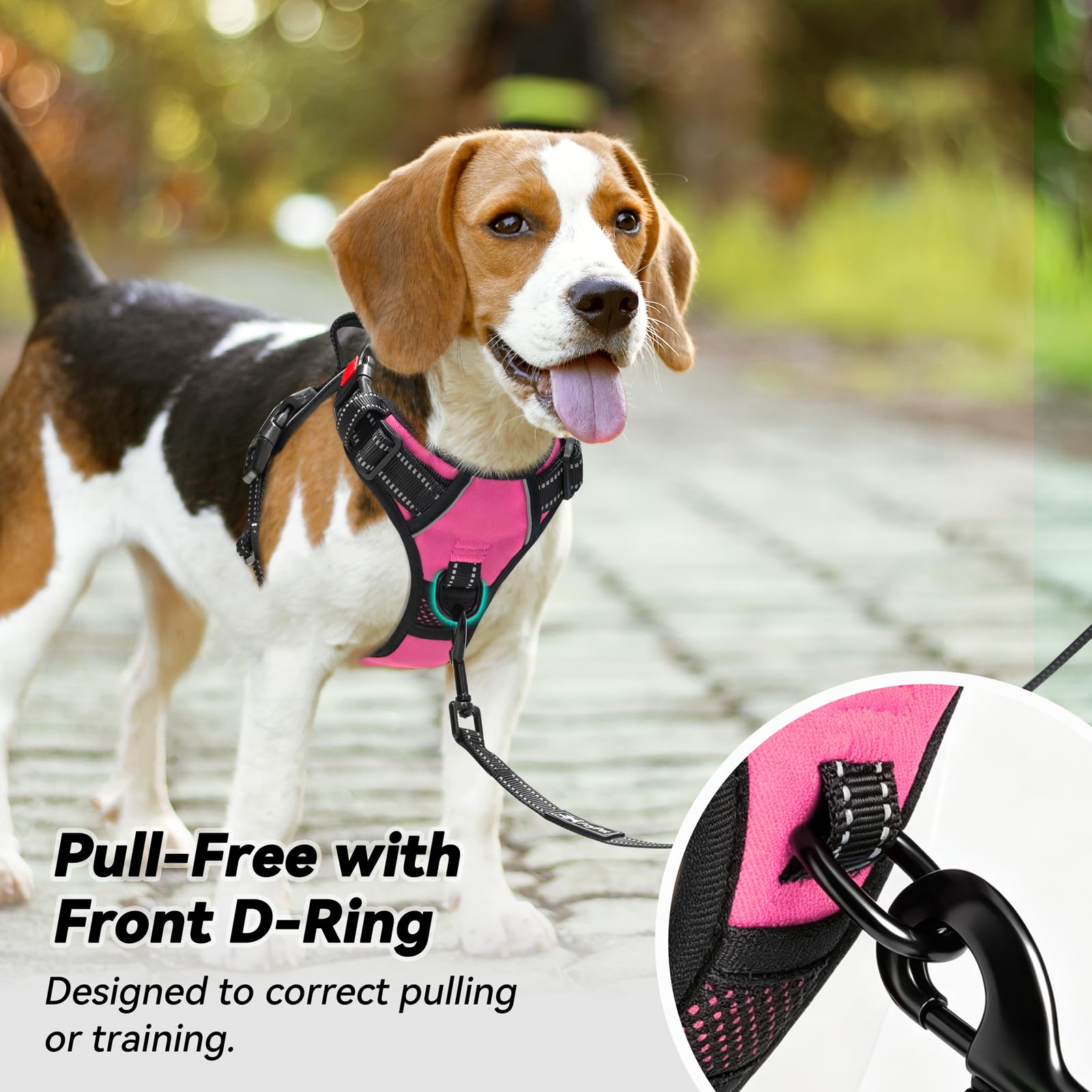 PoyPet dog harness front leash attachment clip close-up.