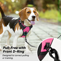 PoyPet dog harness front leash attachment clip close-up.