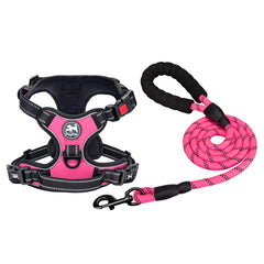 PoyPet dog harness and leash set shown together from the front.