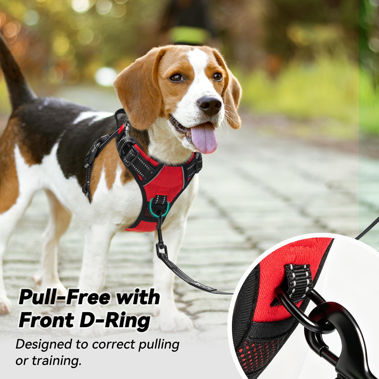 PoyPet large dog harness back leash attachment point.