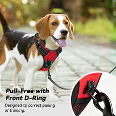 PoyPet large dog harness back leash attachment point.