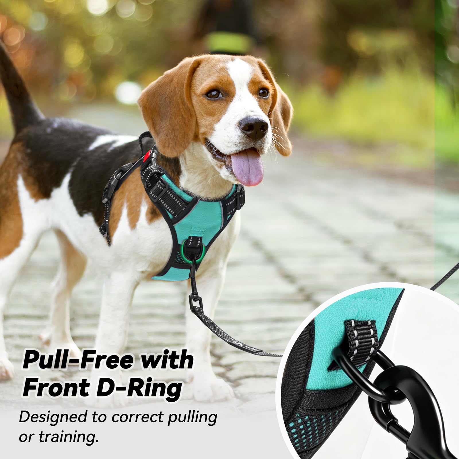 PoyPet Large No Pull Dog Harness belly straps with two quick-release buckles.