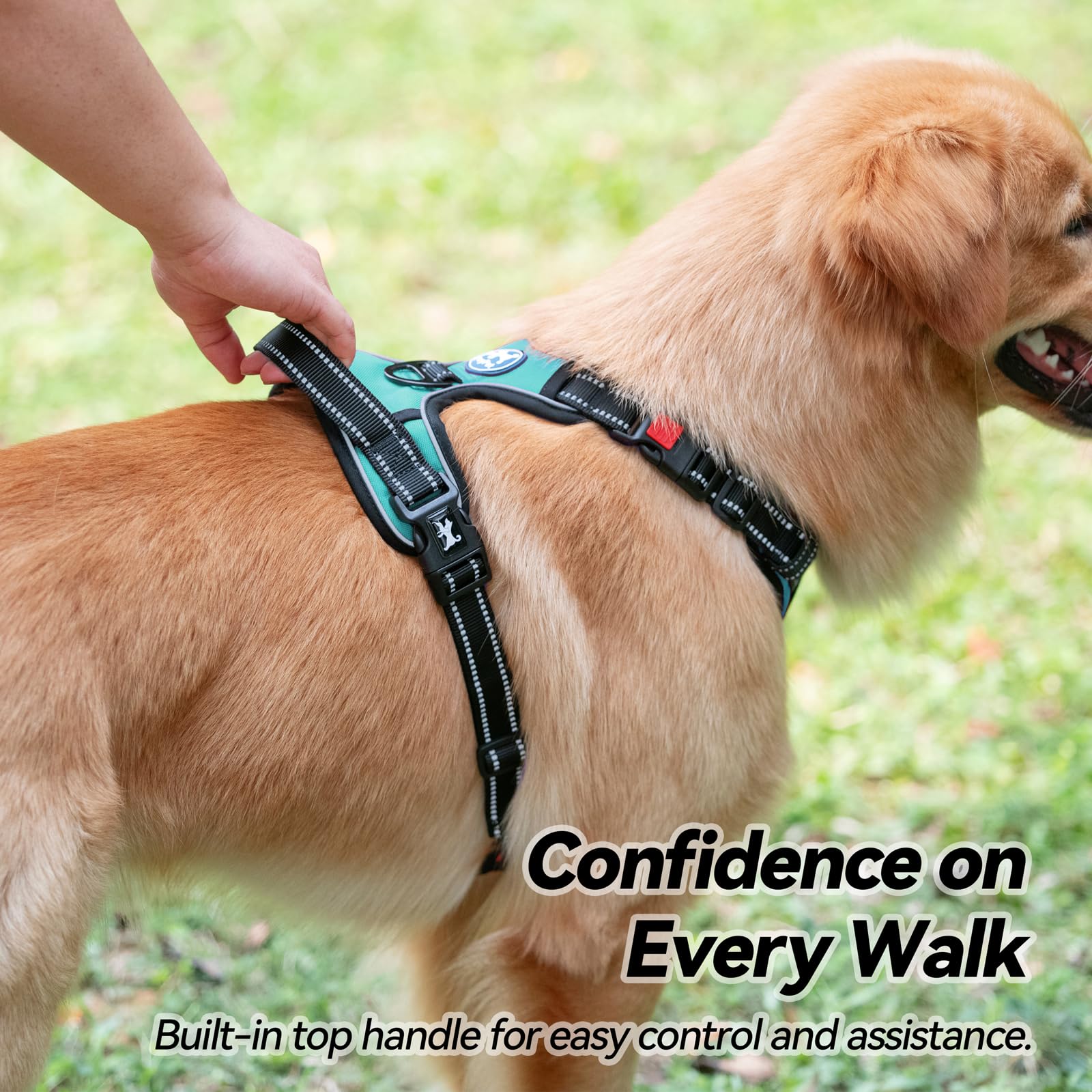 PoyPet Large No Pull Dog Harness soft mesh padding detail.