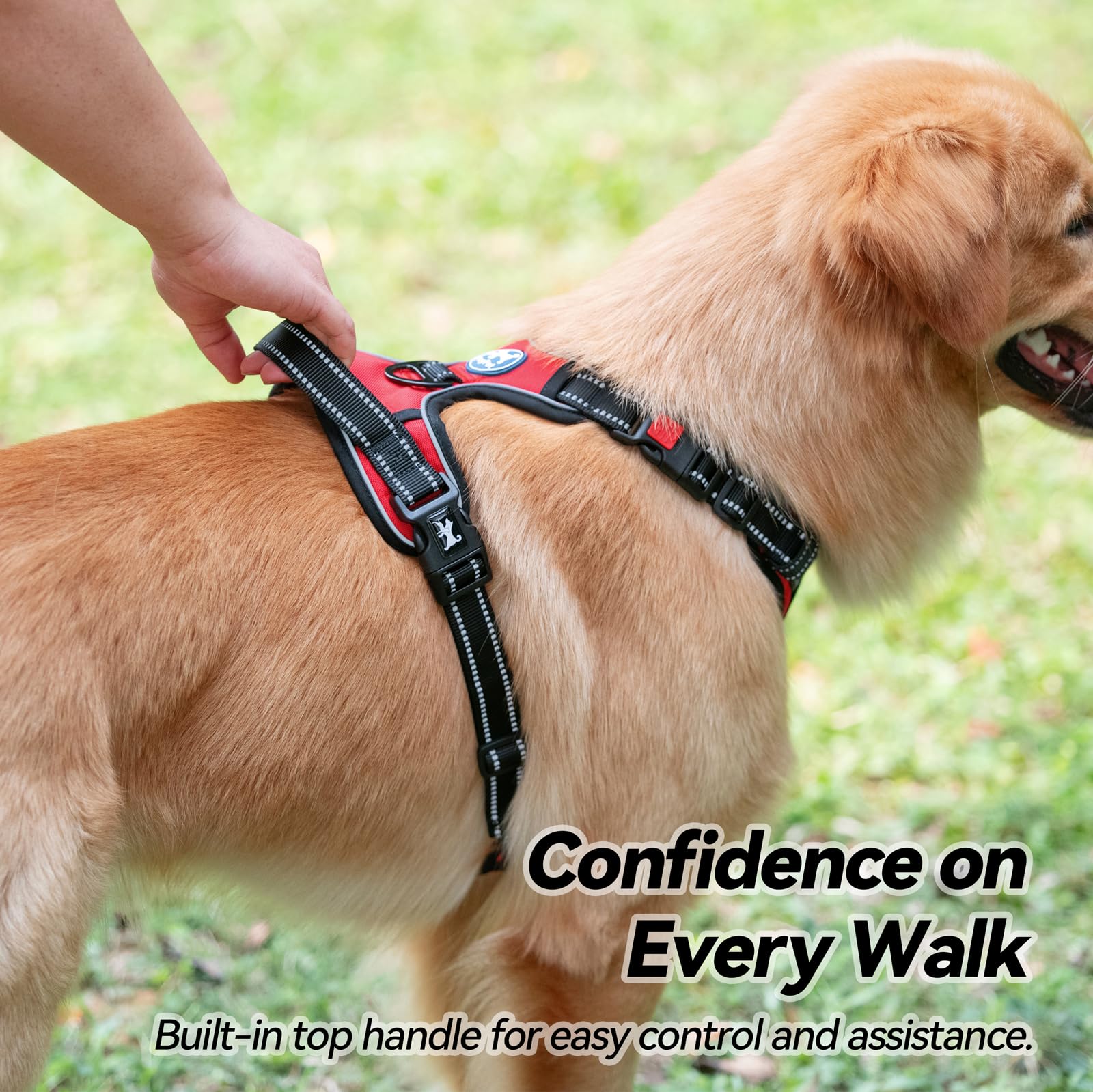 PoyPet large dog harness soft chest and belly padding.