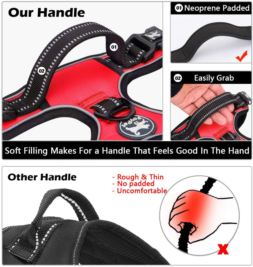 PoyPet large dog harness reflective material on nylon webbing.