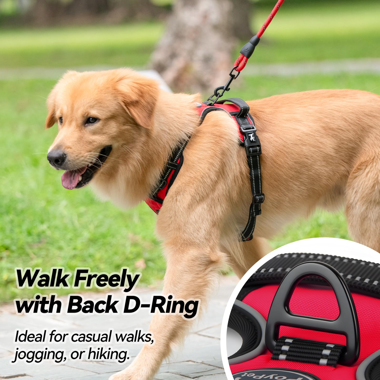 PoyPet large dog harness quick-release buckle detail.