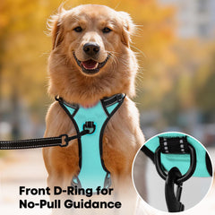PoyPet small dog harness front leash attachment clip in close-up.
