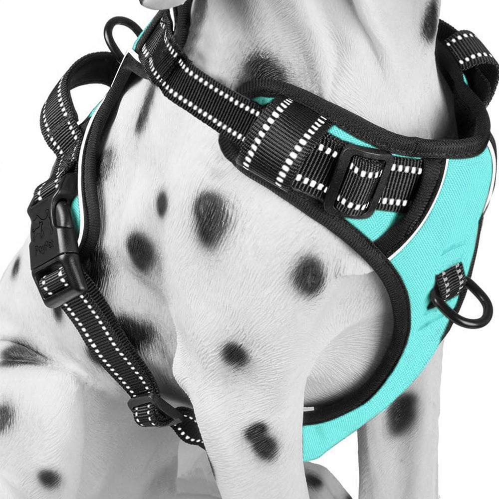 PoyPet small dog harness shown from the front.
