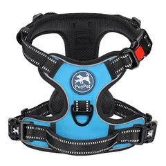 PoyPet small dog harness shown from the front.