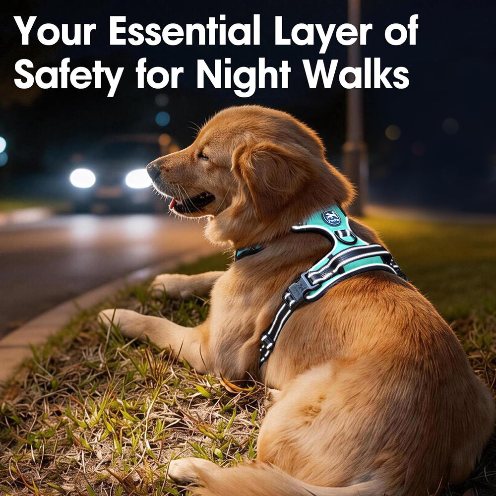 PoyPet small dog harness breathable padded mesh interior.