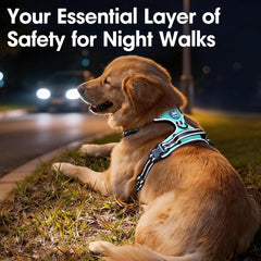 PoyPet small dog harness breathable padded mesh interior.