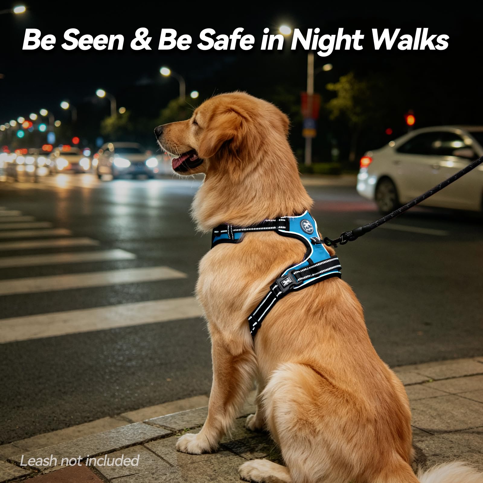 PoyPet small dog harness showing the padded control handle.
