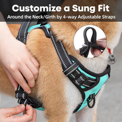 PoyPet small dog harness reflective stitching shown close up.