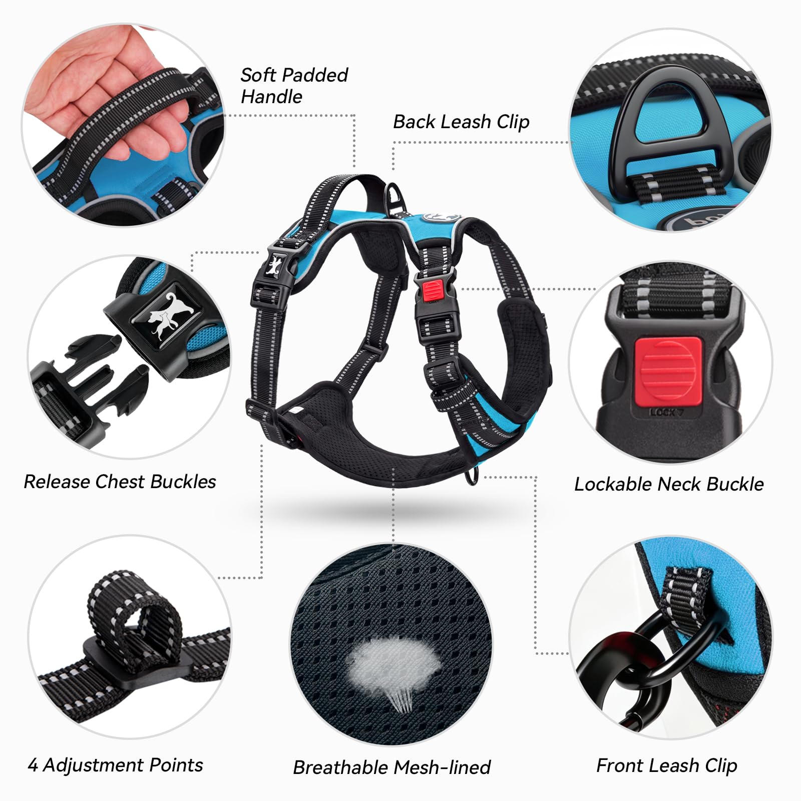 PoyPet small dog harness shown fitted on a dog.