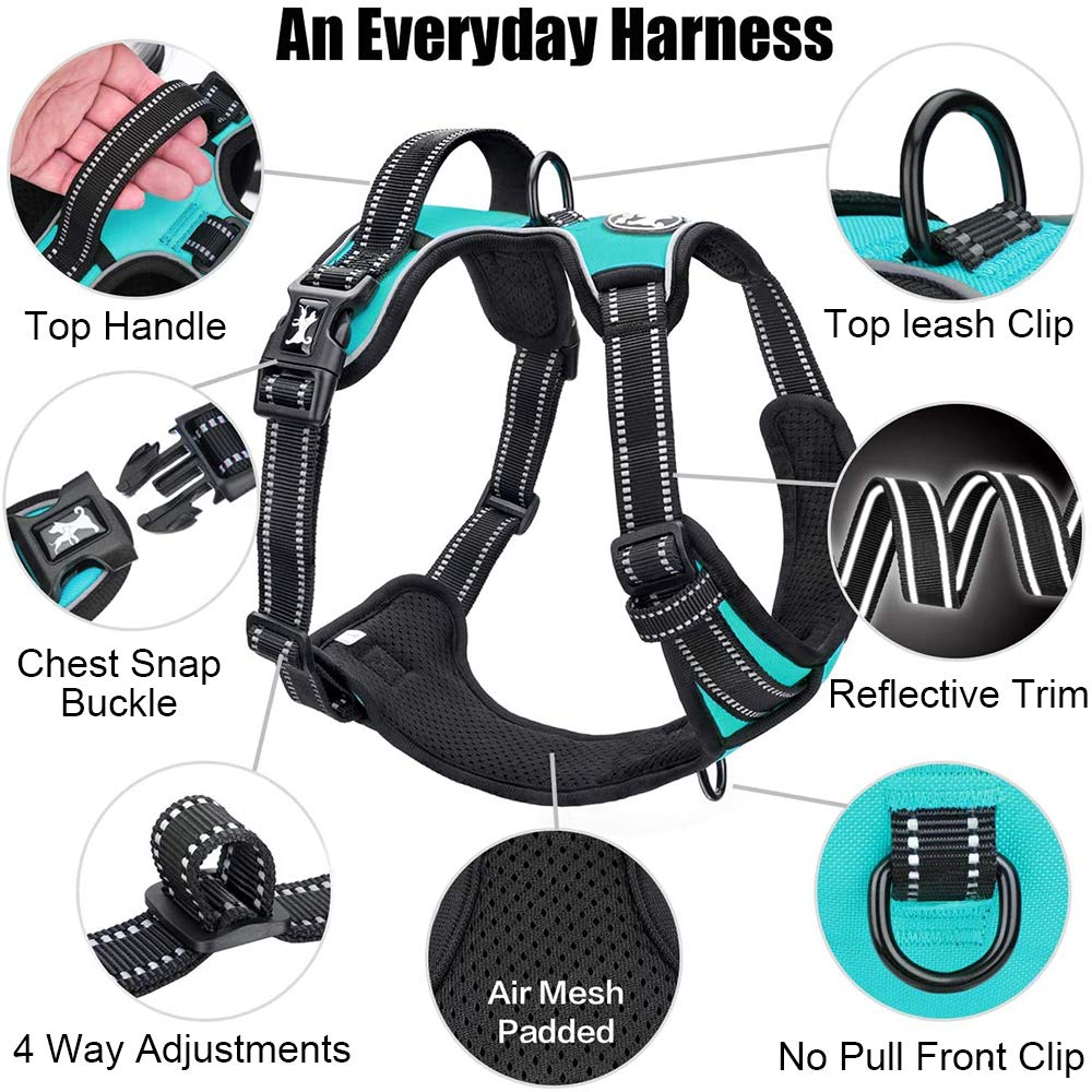 PoyPet small dog harness shown worn as a vest.